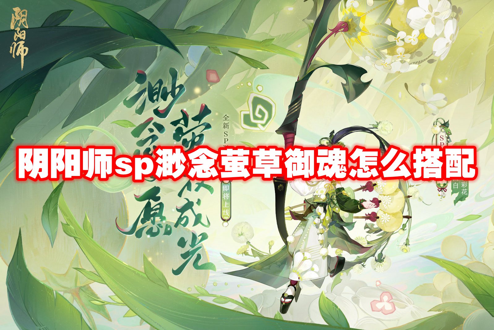 阴阳师sp渺念萤草御魂怎么搭配