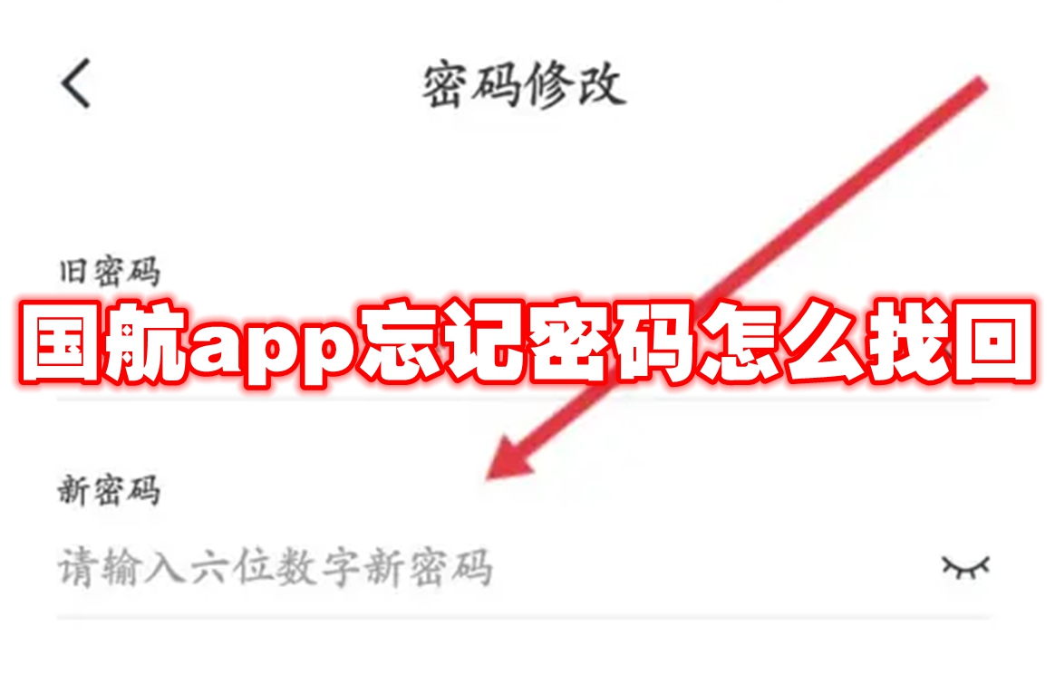 国航app忘记密码怎么找回