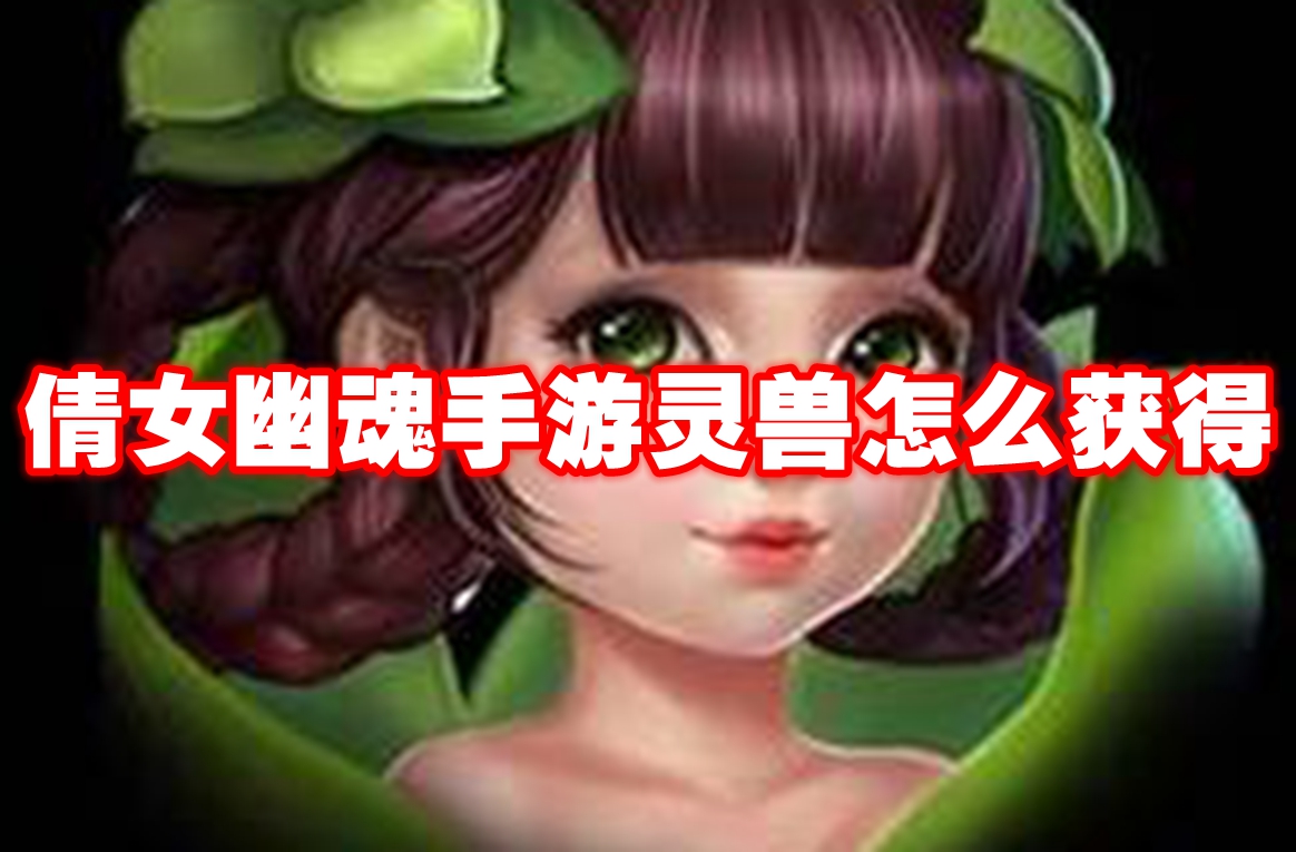 倩女幽魂手游灵兽怎么获得