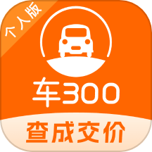 车300二手车