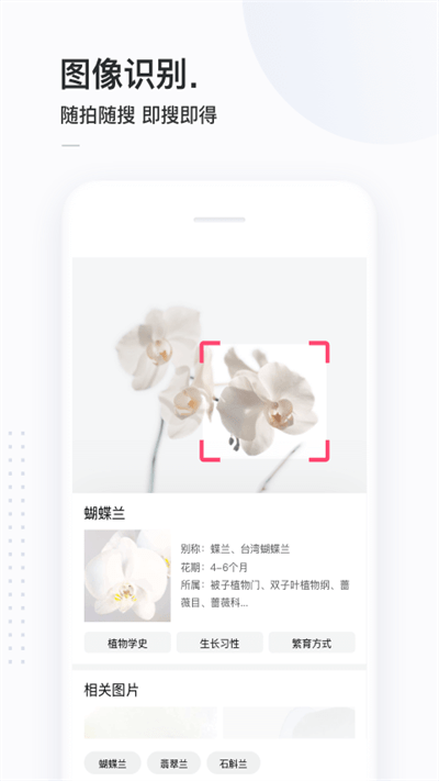 简单搜索app软件截图