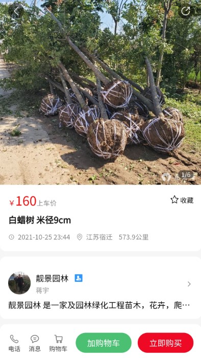 苗青青软件截图