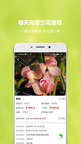 兰花交易网软件截图