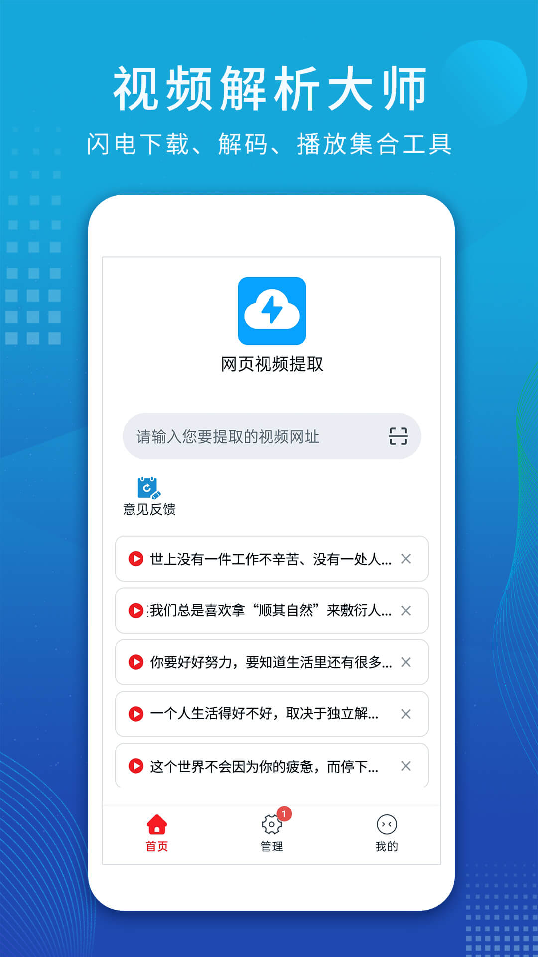 视频解析大师软件截图