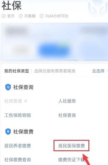 支付宝农村合作医疗保险缴费怎么交