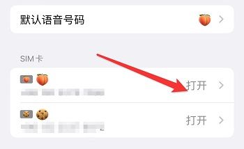 iphone16怎么关闭5G网络